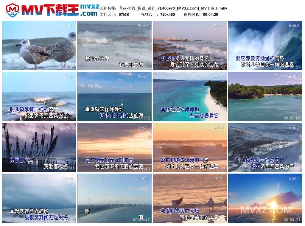 鸟叔-大海_国语_流行_YE400978